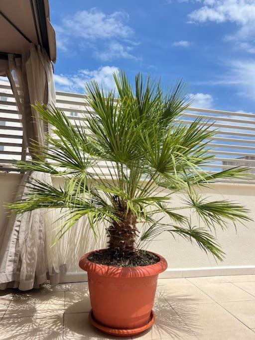 アルカナルPiso Con Terraza A 5 Min Del Marアパートメント エクステリア 写真